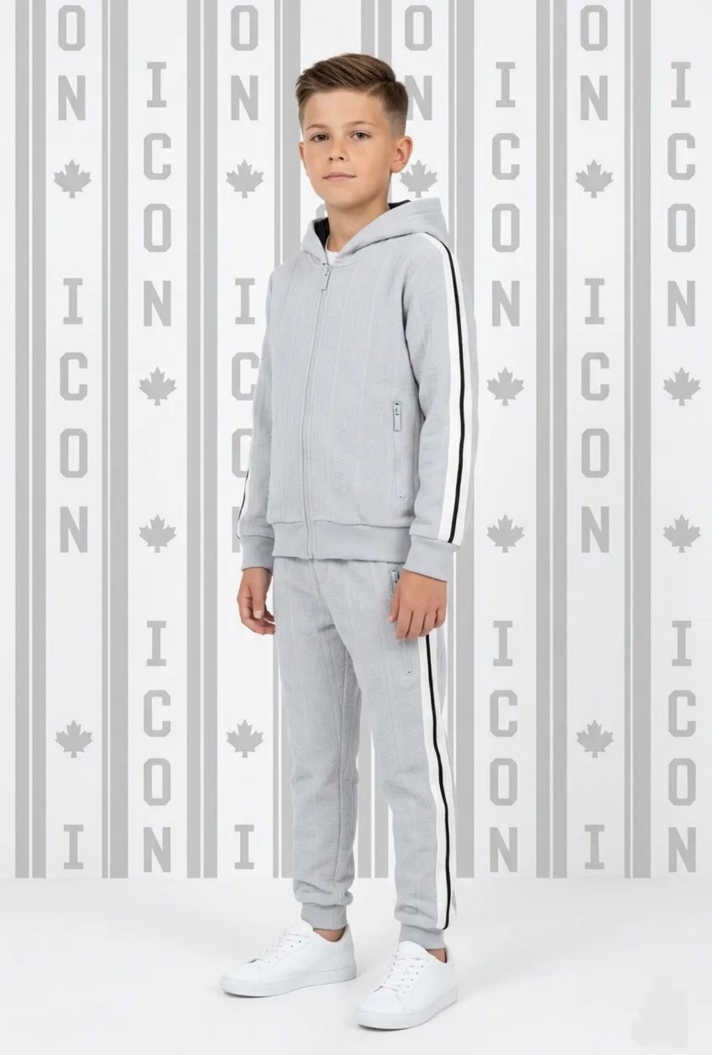 Ensemble Ice Urban
