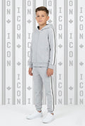 Ensemble Ice Urban