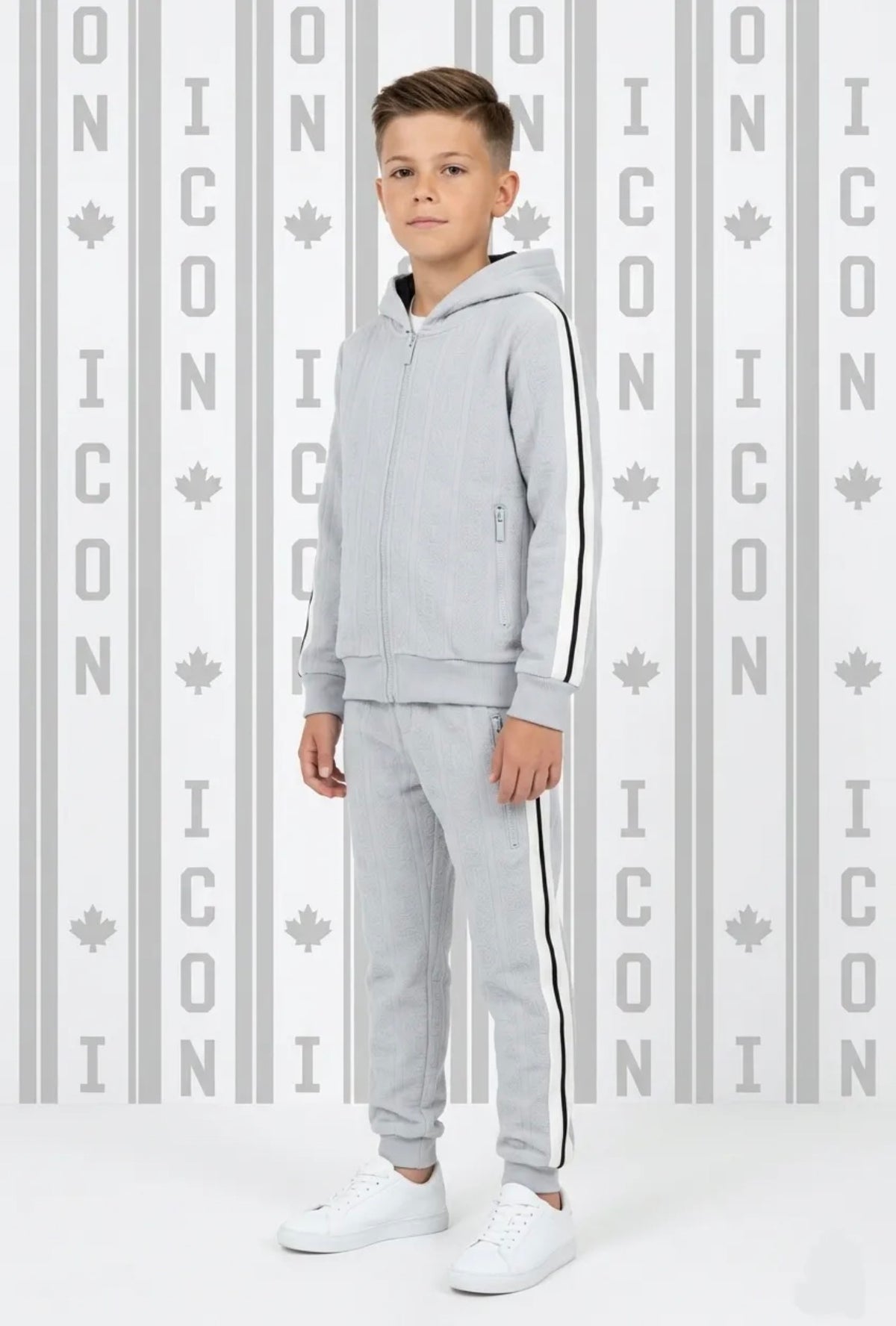 Ensemble Ice Urban